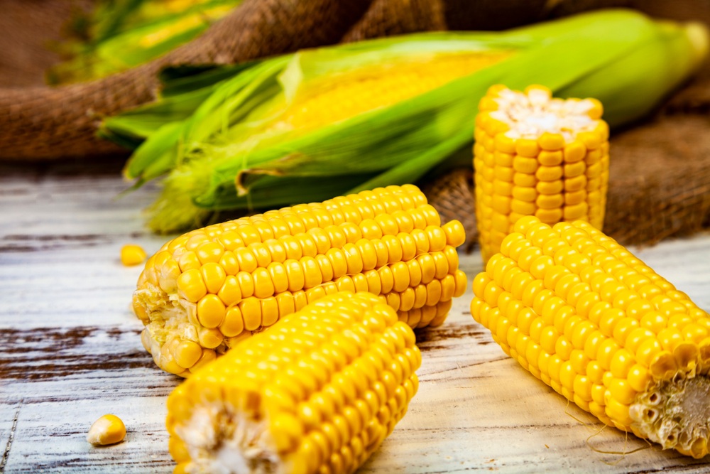 Как правильно варить кукурузу? (6556) | Povkusu.com