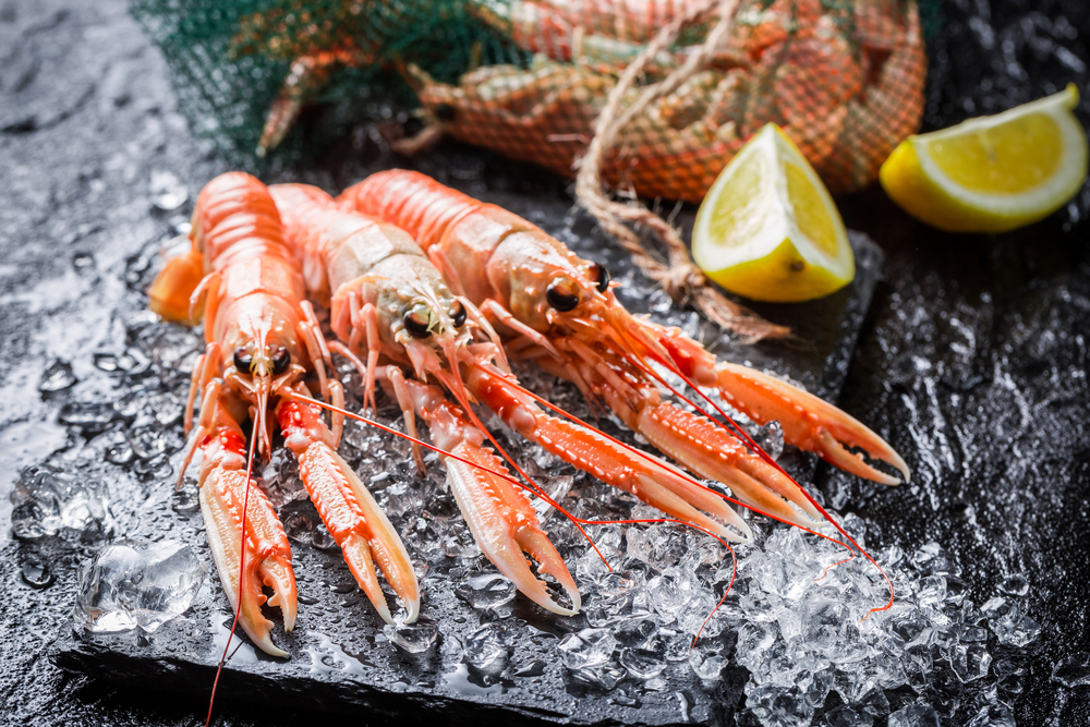 Tipos de mariscos