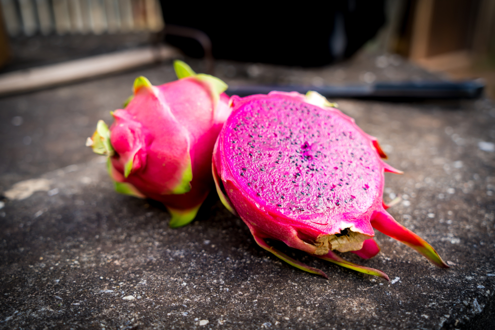 dragon fruit