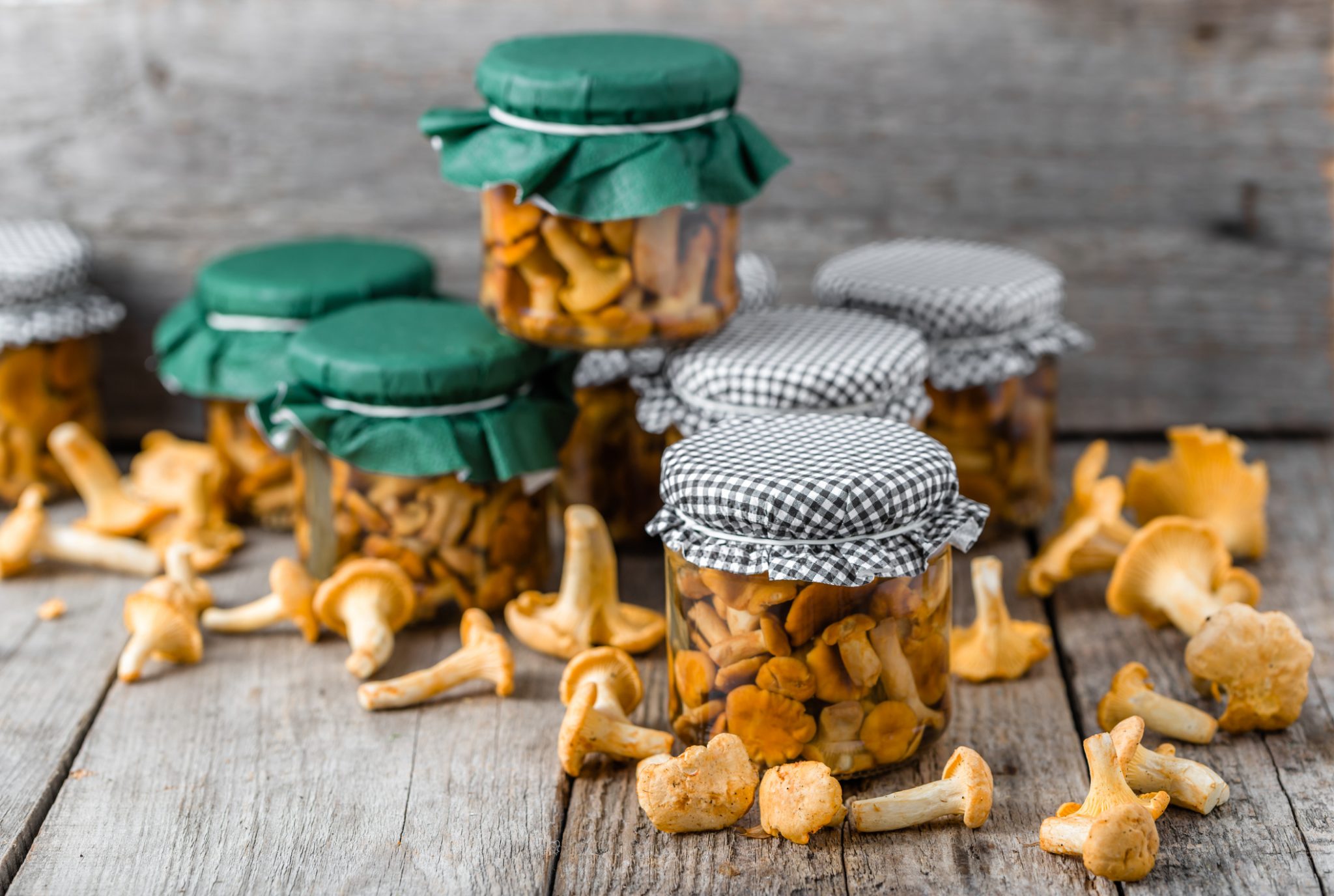 Вкусные грибы